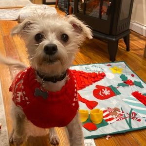 Meet your Posher, Annie